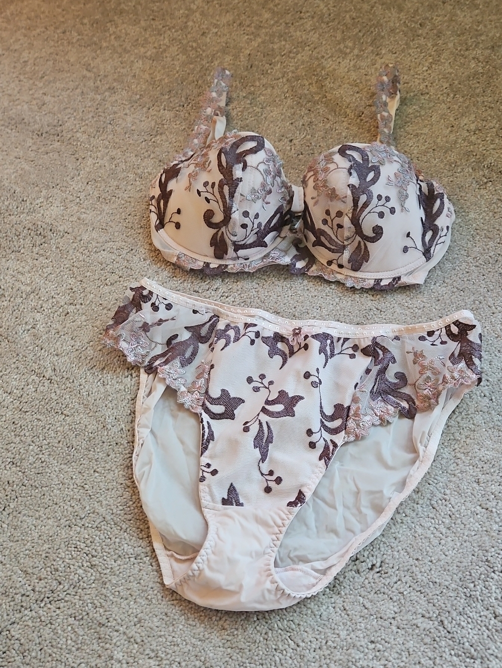Lejaby embroidered Lace Underwire Bra & Bikini Set in Blush with Brown Trim